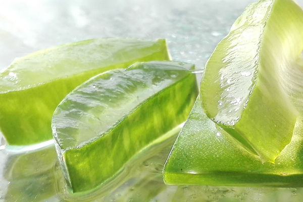 aloe vera yenir mi