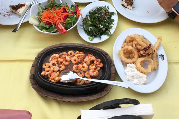 kumyaka erol balık