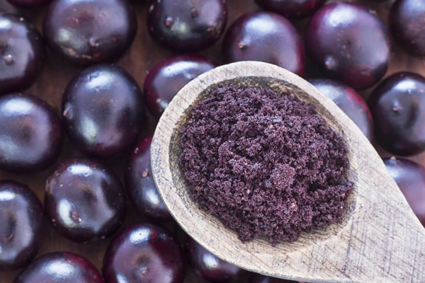 acai üzümü fiyat