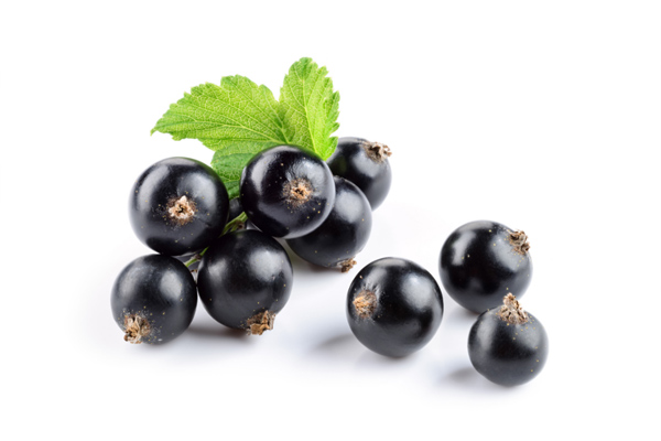 acai üzümü fiyat