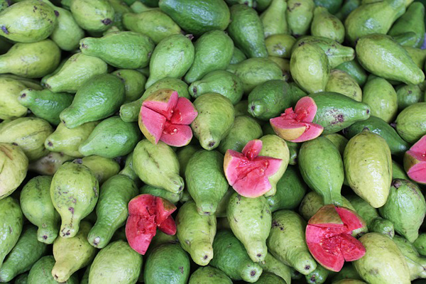 guava faydaları