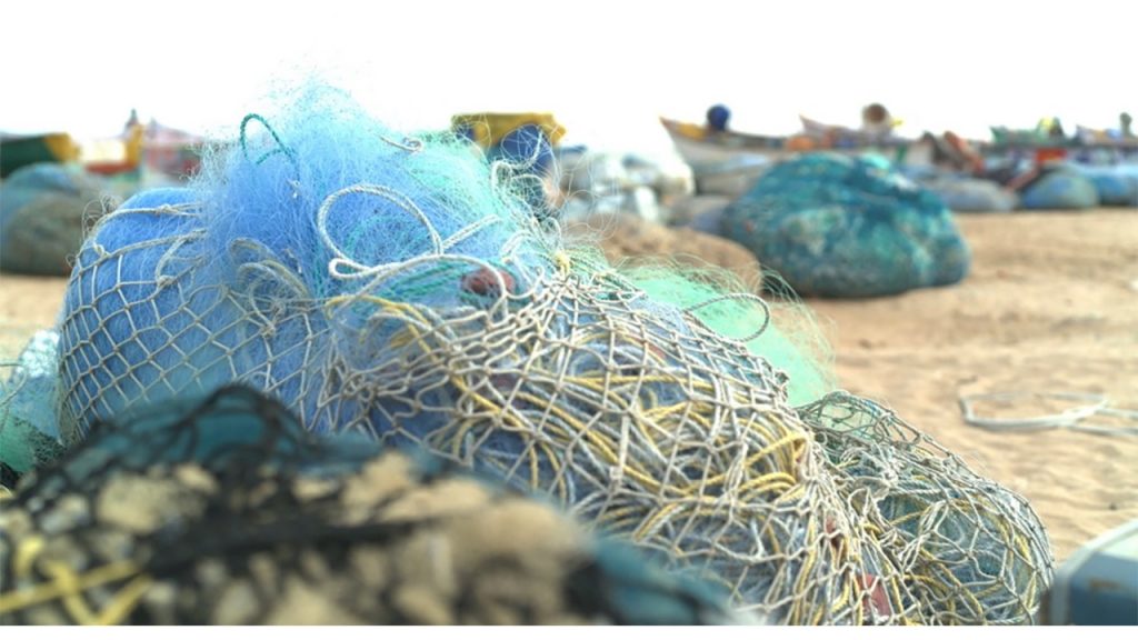 Uzak Bir Adada Plastik Taşlar Bulundu! Peki, Bu Plastik Kayalar Nereden Geldi?