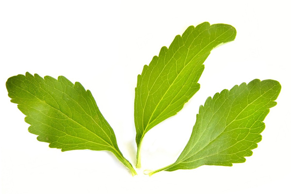 stevia nedir