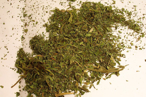 stevia nasıl kullanılır