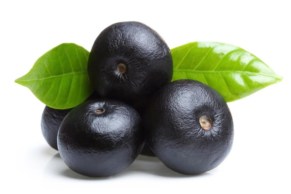 acai üzümü nedir