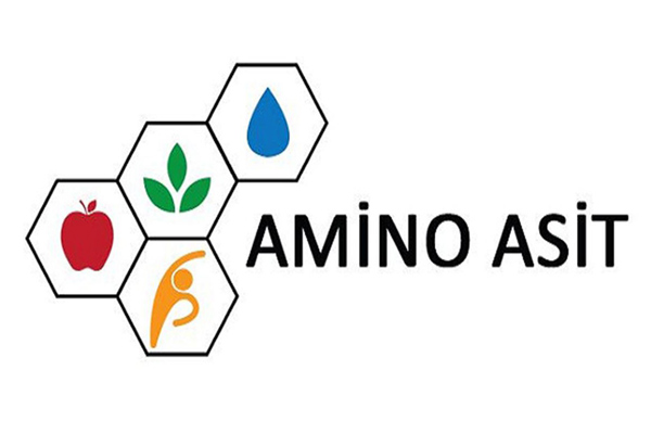 amino asit nedir
