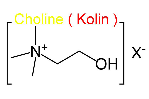 kolin nedir