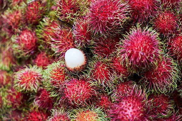rambutan meyvesinin fiyatı