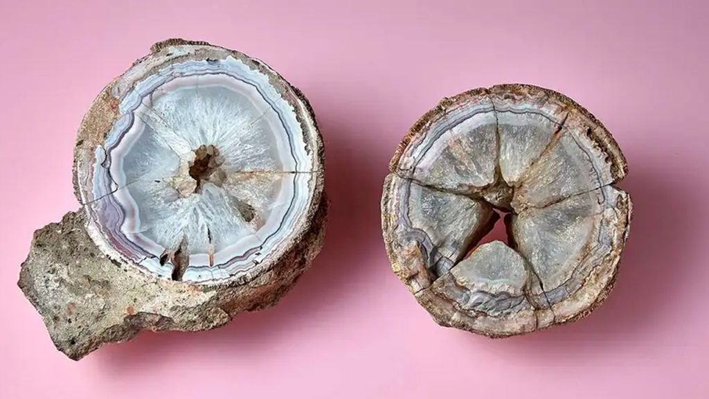 140 yıl önce bulunan bir akik örneğinin aslında dinozor yumurtası olduğu bulundu…