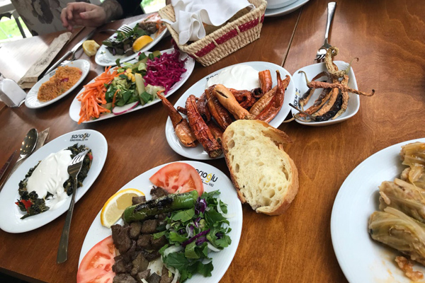 tarihi sarıoğlu lokantası aydın