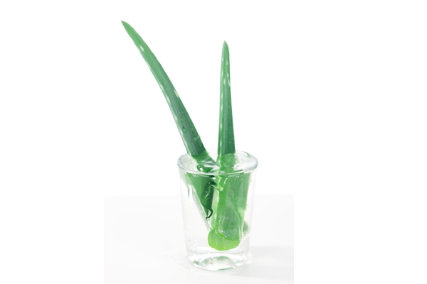 aloe vera suyu fiyat