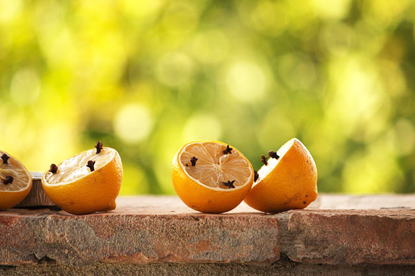 karanfil limon