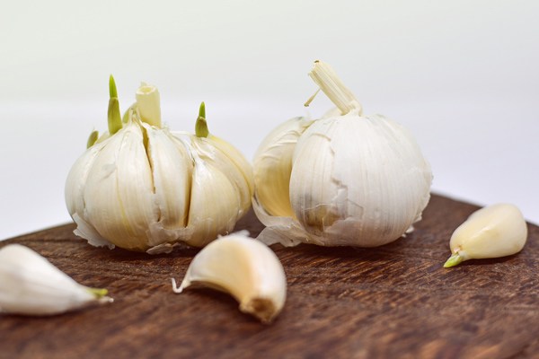 sarımsak