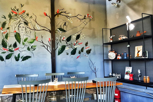 baristokrat urla