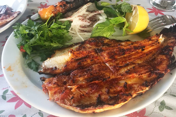 şabut balığı