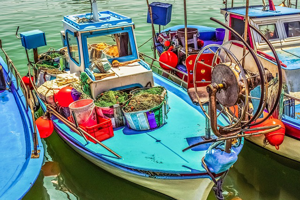 balık avı yasağı 2019