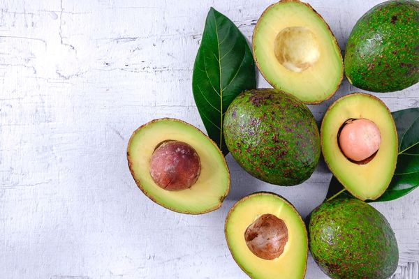 avokado