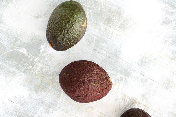 avokado