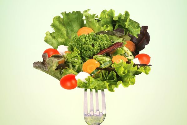 metabolizma