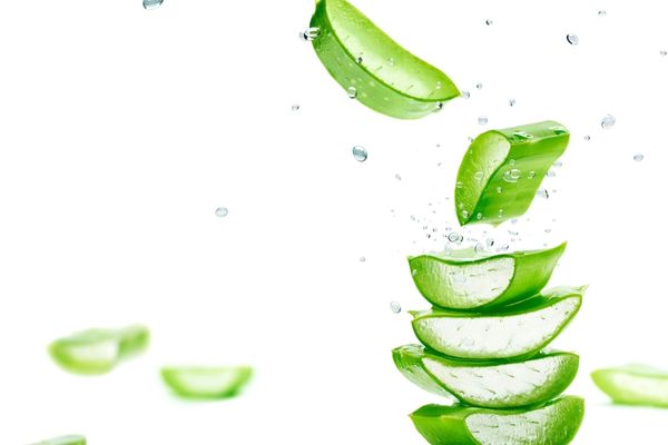 aloe vera