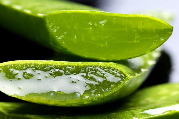 aloe vera suyunun faydaları
