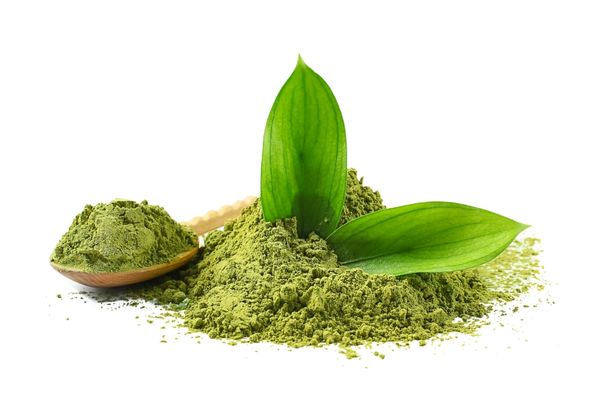 matcha çayı faydaları