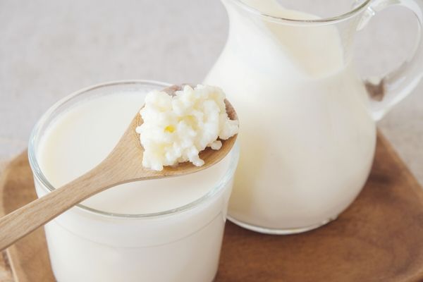 kefir