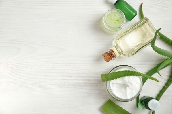aloe vera