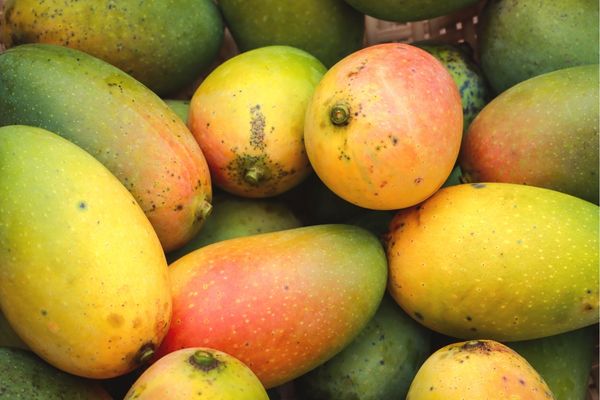 mango nasıl yenir