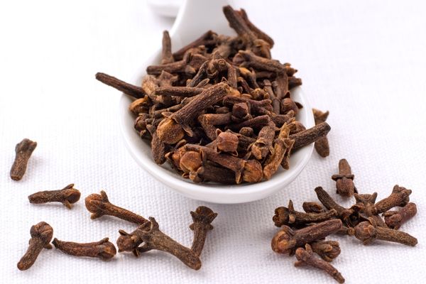 karanfil