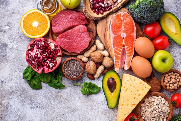 Holozoik Beslenme Nedir? Örnekleri ve Çeşitleri