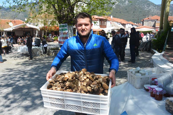 kuzugöbeği mantar festivali