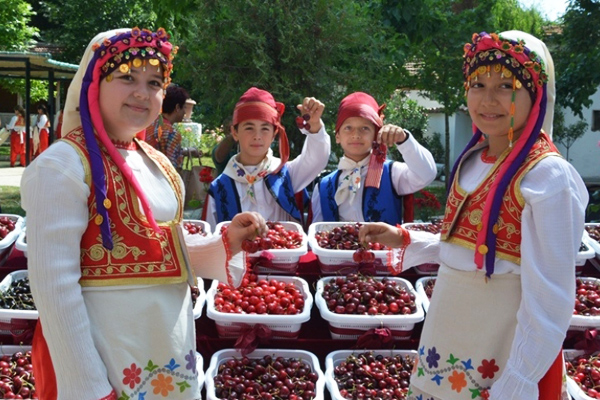 tekirdağ kiraz festivali