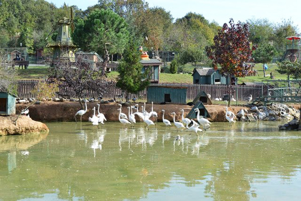 polonezköy piknik