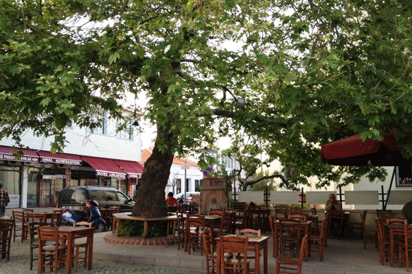 çınaraltı kafe bozcaada