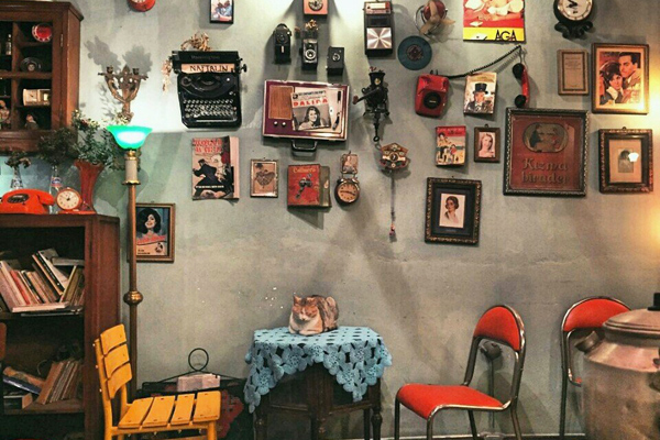 cafe naftalin