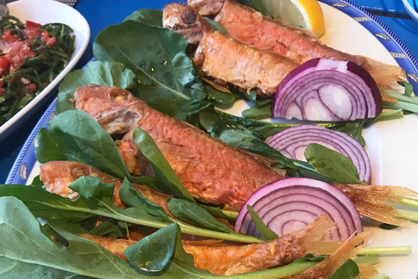 filika restaurant bozburun