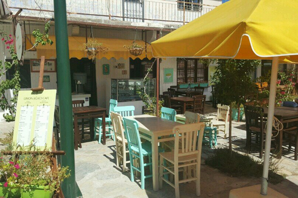 limon ağacı bozburun