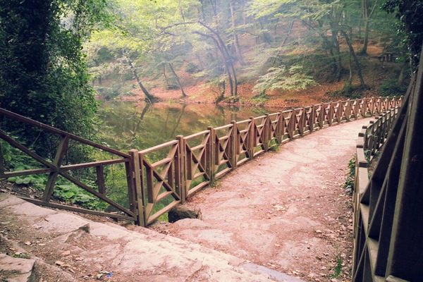 belgrad ormanı bentler
