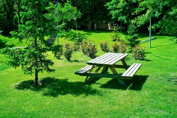 Ankara Piknik Alanları: Doğayla İç İçe 11 Güzel Yer