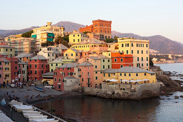 cenova