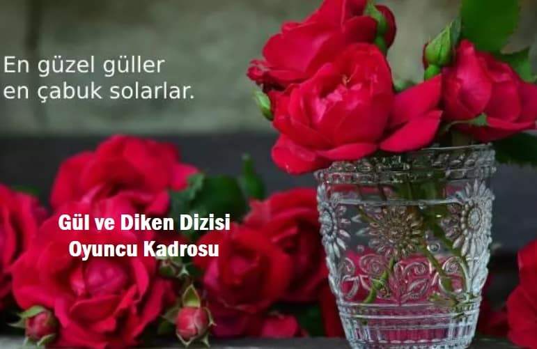 Gül ve Diken Dizi Kadrosu Oyuncu Bilgileri