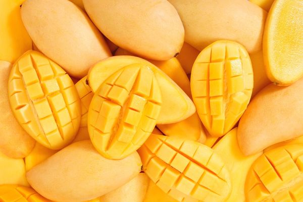 mango meyvesi