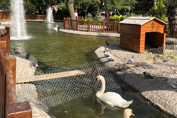 kuğulu park