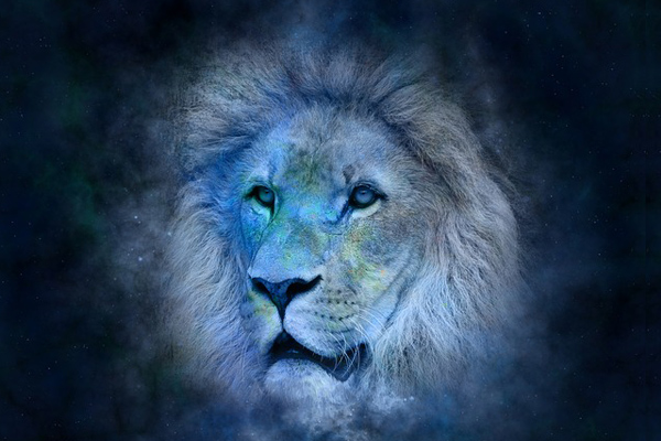 aslan burcu