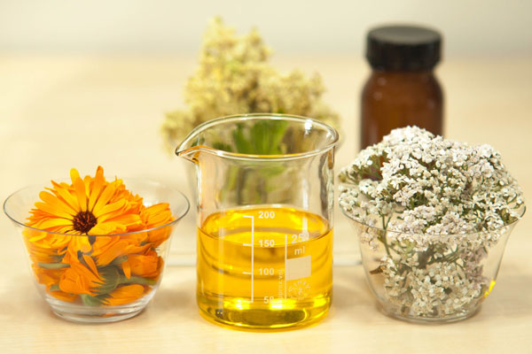 Jojoba Yağı Faydaları Nelerdir? Ne İşe Yarar? Nasıl Kullanılır?