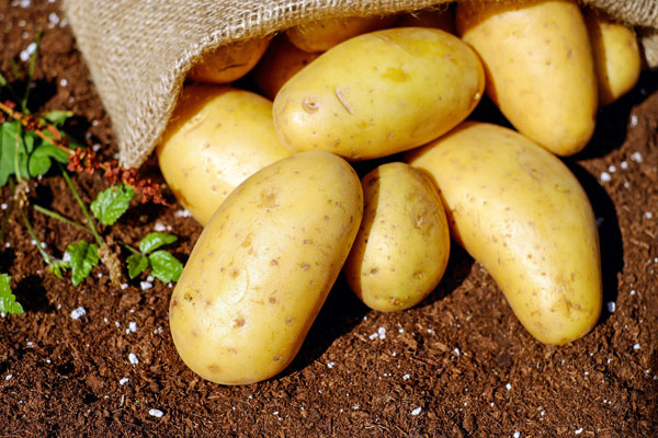 patates suyunun faydaları ibrahim saraçoğlu