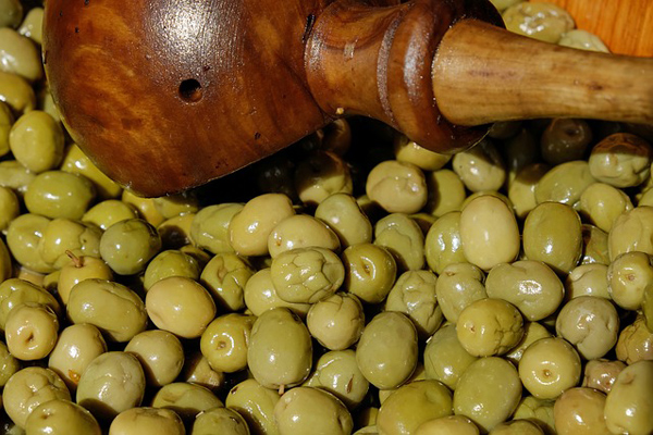 çelebi zeytini