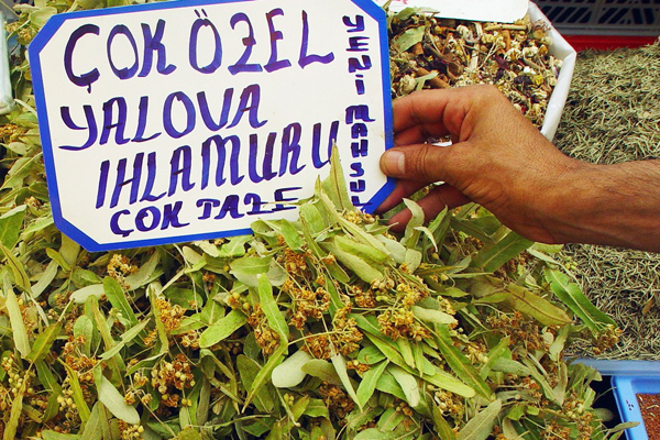 ıhlamur