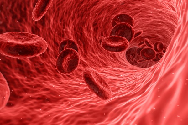 ferritin nedir
